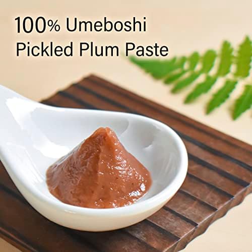 YAMASAN KYOTO UJI Umeboshi - Japanese Pickled Plums Paste, Using the Premier Brand "KISHU NANKO-UME" 100%, Vegan, Allergen & Additive-free