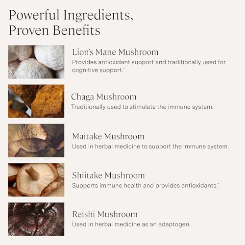 Stonehenge Health Dynamic Mushrooms 1,400 mg Per Serving, 5 Mushroom Complex (Lion’s Mane, Reishi, Chaga, Maitake, Shiitake) 100% Fruiting Bodies, No Mycelium – Brain, Memory & Immune Support 60 Caps