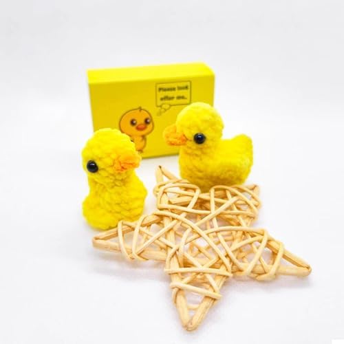 Mini Duck Crochet Gift for Easter Basket Stuffers Teen Girls Boys Thank You Gifts for Ideas Boss Teacher Nurse Employee
