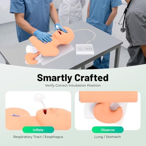 Adult Intubation Model, 220V PVC Oral Nasal Intubation Manikin Study Teaching Model, Airway Management Trainer Intubation Head Study Teaching Model with Electronic Alarm, for Science lab Study