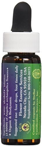 Flower Essence Services Angelica Essence, 0.25 Ounce