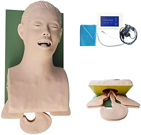 Educational Tools， Intubation of Airway Management Trainer 110-220V Intubation Manikin Training Simulator Airway Management Trainer Intubation Head Teaching Study Model Manikin