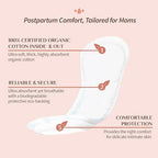 Organyc Hospital + Home Postpartum Pads Bundle Pack, 100% Certified Organic Cotton Pads for Women, Large Pads for First Days After Delivery