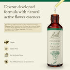 Bach Original Flower Remedies, Centaury - Be Assertive - Natural Homeopathic Flower Essence for Emotional Balance - Vegan, Gluten Free, Sugar Free - 20mL Dropper