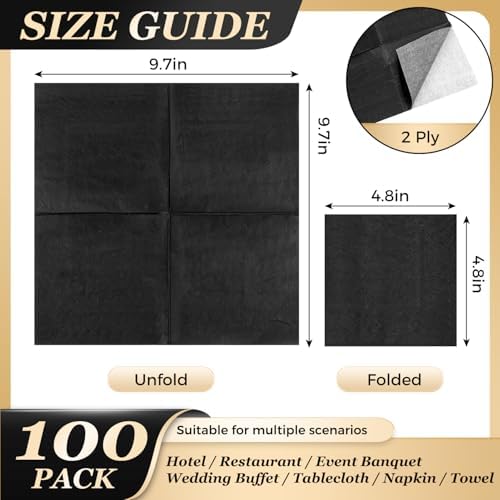 Ginkgo 100 Pack Cocktail Napkins, 2-Ply Disposable Black Paper Napkins Bulk for Wedding, Bar, Beverage, Party and Dessert