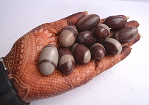 Narmada Shiva Lingam Stone 1.3 Inch Set of 11 – Natural Narmadeshwar Banalinga from Narmada River, Sacred Shivling for Pooja, Meditation, Reiki Healing & Spiritual Energy