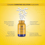 Infinite Labs L Carnitine 1000mg MTX - Amino Acid Blend of Carnitine Fumarate, L-Carnitine L-Tartrate, Acetyl L-Carnitine, L-Carnitine HCL, L-Carnitine Base 120 Veggie Capsules.