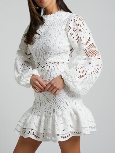 Women's Spring Long Sleeve Embroidery Mini Dress Ruffle Hollow Out Sexy Lace Dress