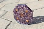 Jet New Amethyst Orgone Vastu Plate Energy Generator Crystal Gemstones Unique Rare Science Free Booklet Crystal Therapy Image is JUST A Reference.