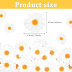 40Pcs Daisy Cake Decorations Edible Flower Cupcake Toppers Wafer Paper Edible Cake Decor White Daisy Flower Cupcake Picks for Birthday Wedding Bridal Baby Shower Party Decoration Supplies