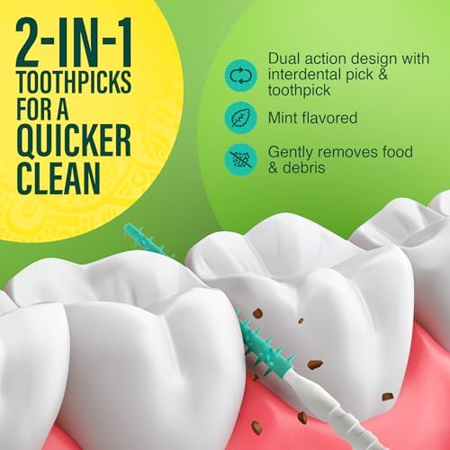 GuruNanda 2-in-1 QuickPik Toothpick & Interdental Pick – Soft Rubber Bristles for Plaque Removal & Improved Oral Care, Comes with a Travel Case for On-The-Go Use, 300 Ct