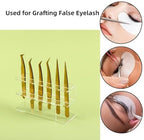 Acrylic Tweezers Holder, 6 Holes Tweezers Stand Display Organizer for Eyelash Extension Supplies Accessories Grafting Beauty Tools (6 Holes Transparent)