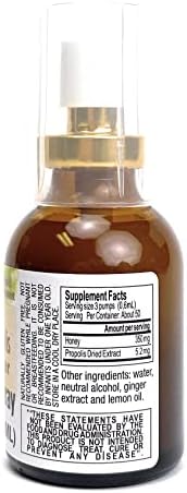 Brazilian Green Bee Propolis and Rain Forest Honey Throat Spray, Lime Ginger, 2 Bottle Pack