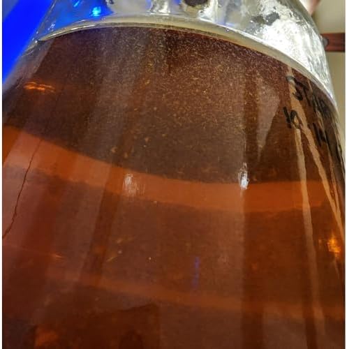 Vinegar EEL Culture (Turbatrix Aceti), 6 oz