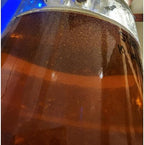 Vinegar EEL Culture (Turbatrix Aceti), 6 oz