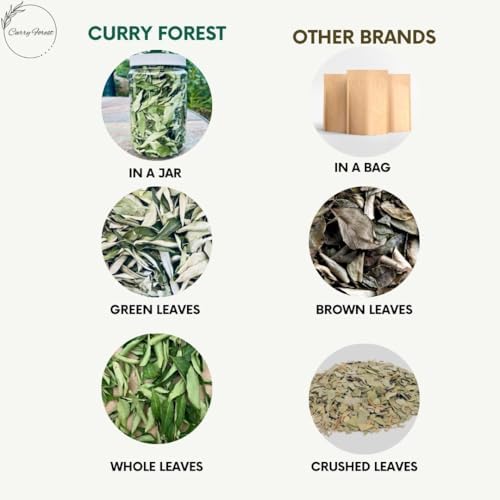 CurryForest Premium Dried Curry Leaves-100% Natural, Pesticide-Free Whole Leaves, USA Grown, Air Dried-10-15 g