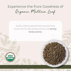 Starwest Botanicals Organic Mullein Leaf - Dried Loose Leaf Herb for Tea, Cut & Sifted, Certified Kosher, Non-GMO - 4 oz Pouch