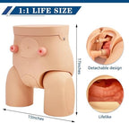 Catheterization Model Male Female Interchangeable, Nursing Practice Urinary Urethral Catheter Manikins PVC Teaching Catheter Model for Students Or Nurses Catheterization Simulator Kit