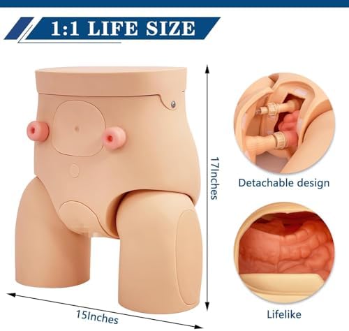 Catheterization Model Male Female Interchangeable, Nursing Practice Urinary Urethral Catheter Manikins PVC Teaching Catheter Model for Students Or Nurses Catheterization Simulator Kit