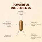 CHOQ Armor - Vegan Capsules - Professional-Grade Immune Defense - 20x Absorption Quercetin Phytosome - Andrographis - Astragalus - Supports Healthy Histamine Levels
