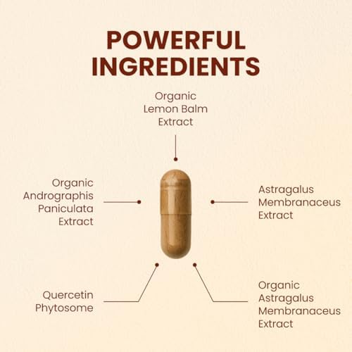 CHOQ Armor - Vegan Capsules - Professional-Grade Immune Defense - 20x Absorption Quercetin Phytosome - Andrographis - Astragalus - Supports Healthy Histamine Levels