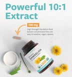 USDA Organic Dandelion Root Extract - High Potency 10:1 Dandelion Root Supplement with 5000mg Herbal Equivalent Strength for Liver Cleanse Detox & Repair Support - Vegan & Non-GMO (2 Month Supply)