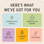 The Best Sleep + Serenity Essential Oil Blend- Premium Grade- 100% Pure & Natural for Aromatherapy, Diffuser, Spa, Massage, Air Freshener- 10 ml (.33 fl oz)