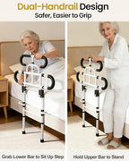 Aliseniors Bed Rails for Elderly Adults Safety - ASTM Certified Bed Assist Grab Bar for Seniors with Adjustable Legs, 300lb Foldable Bedside Dual-Tier Handle - Fits King Queen Twin for Fall Prevention