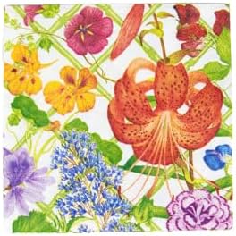 Caspari Floral Trellis Boxed Cocktail Napkins - 40 Per Box