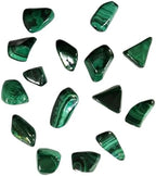 GeoFossils Malachite Large Tumbled Stone
