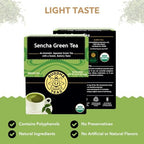 Buddha Teas - Organic Sencha Green Tea - For Health & Wellbeing - Japanese Green Tea - With Antioxidants & Minerals - Clean Ingredients - Caffeinated - OU Kosher & Non-GMO - 18 Tea Bags (Pack of 1)