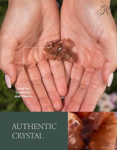KALIFANO Natural Aragonite Cluster - High Energy Reiki Crystal Star Aragonito with Healing Properties - Information Card Included (Family Owned and Operated)