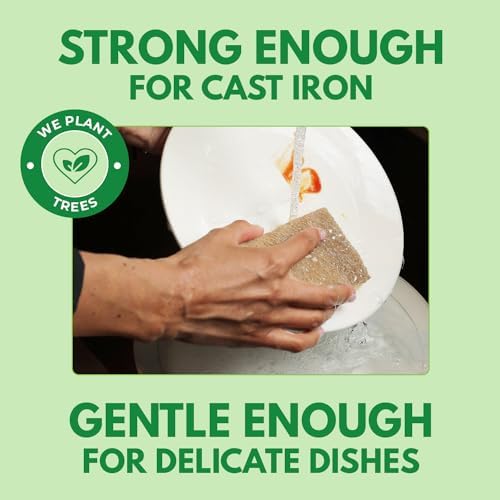 10 Pack Biodegradable Natural Kitchen Sponge - Compostable Cellulose and Coconut Walnut Scrubber Sponge - Eco Friendly Sponges for Dishes