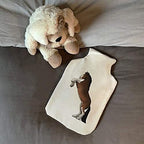 Azeeda 'Rearing Shire Horse' Hot Water Bottle Cover (HW00019808)