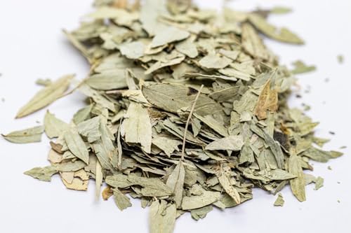 Senna Herbal Tea – Hojas de Sen Té (Senna alexandrina) – Jumbo Size – Net Wt. 113 g (4 oz) – 100% Natural, Sun-Dried, Wildcrafted, No Additives, No Preservatives – Traditional Caffeine-Free Herbal Infusion