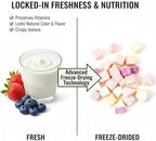 Freeze Dried Yogurt Chunks 5.3 oz, Freeze Dried Ice Cream Crispy Skin Mixed with Fruit Flavors, Mango, Strawberry, Blueberry and Original Flavors Assorted Pack,Yogurt Fruit Snacks,Milk Suga