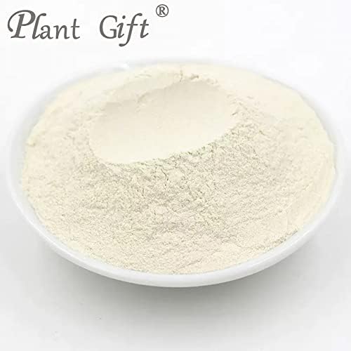 Plant Gift 100% Pure Onion Powder 洋葱粉 Natural Onion Flour, Great Flavor for Drinks, Adds Flavor and Taste Non-GMO Powder, No Filler, No additives 100G/3.25oz
