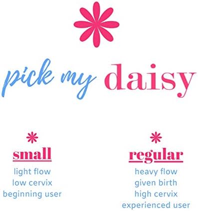 Menstrual Cup - Reusable Soft Menstrual Cups Provide 12 Hour Leak Free Protection - Eco Friendly Tampon & Pad Alternative - Includes 1 Regular Size Period Cup for Normal to Heavy Period Flow