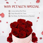 Petale Preserved Rose Flower Box – Handmade Eternal Rose Gift for Her, Romantic Forever Flower for Birthday, Anniversary, Valentine’s Day, Home Décor (Long-Lasting Real Rose)