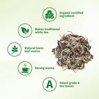 KHS Premium Organic White Tea, 3.53 Oz USDA Certified Grade A White Tea, Aged White Leaves with Fresh And Sweet Flavor, White tea Loose Leaf with Simple and Natural Methods