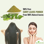 Shudh Online Curry Leaves Powder Fresh (3.5 oz) Natural Grown Indian Dried Curry Leaf Powder | Hojas de Curry Frescas Secas - Hair Growth