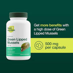 Green Lipped Mussel Capsules - Strongest DNA Verified from New Zealand - Perna Canaliculus Omega Supplement - May Promote Healthy Joints - 90 Capsules (Pack of 2)