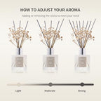 Airkeep Reed Diffuser Set,3.38 fl oz (100 ml) - White Tea Oil Diffusers with 8 Reed Sticks, Home Fragrance Reed Diffuser for Bathroom Shelf Decor