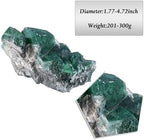 TUMBEELLUWA Natural Green Fluorite Crystal Cluster Geode Druzy Specimen Mineral Raw Stone for Healing, Witchcraft, Home Decor (201g-300g)