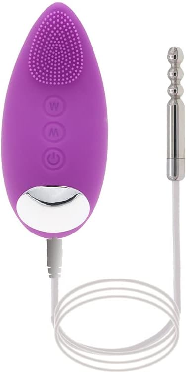 Stainless Steel Urethra Plugging Vibrator Urethra Sound Urine Plugging Egg Massager Upgrade Powerful Vibration USB Charging Shocker Purple for Males& famales