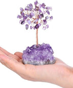 Jovivi Amethyst Crystal Tree, Natural Healing Crystals Money Trees Amethyst Cluster Base,Reiki Positive Energy Gemstones Bonsai Tree, Feng Shui Purple Room Office Desk Decor Spiritual Gifts
