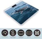 Whale Shark Bathroom Scale for Body Weight LCD Display Digital Bathroom Scale Tempered Glass Bathroom Weight Scales Fashion Smart Scales for Home Bedroom 400 Lb
