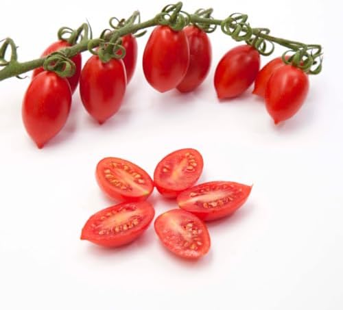 Cosi Come - Datterini Tomatoes in Juice (12.354 oz) 350 g, Low-acid, No additives, No preservatives, 100% Natural, Non-GMO, Product of Italy