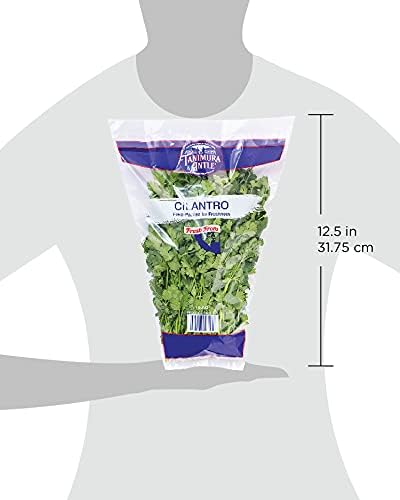 Natures Reward Cilantro, 1 EA