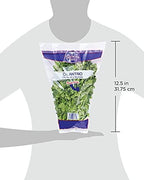 Natures Reward Cilantro, 1 EA